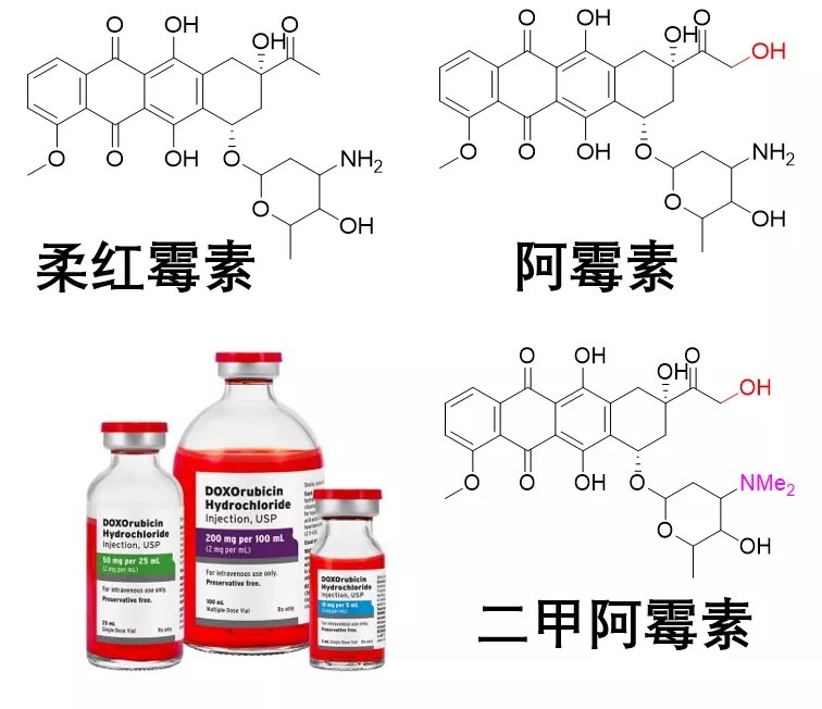 驯服红色毒药:如何去除阿霉素的心脏毒性? | 地平线