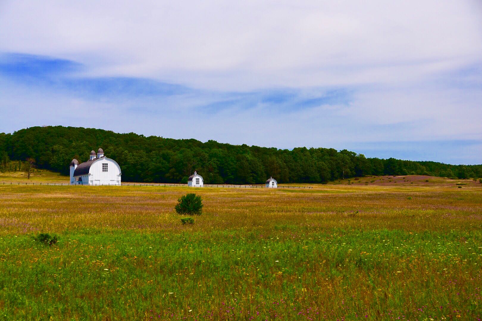 1519176391722083161.jpg 1705661948.jpg