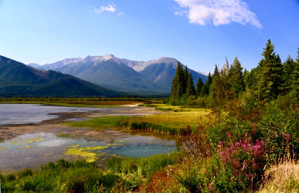 1519176426409085305.jpg 36224741.jpg